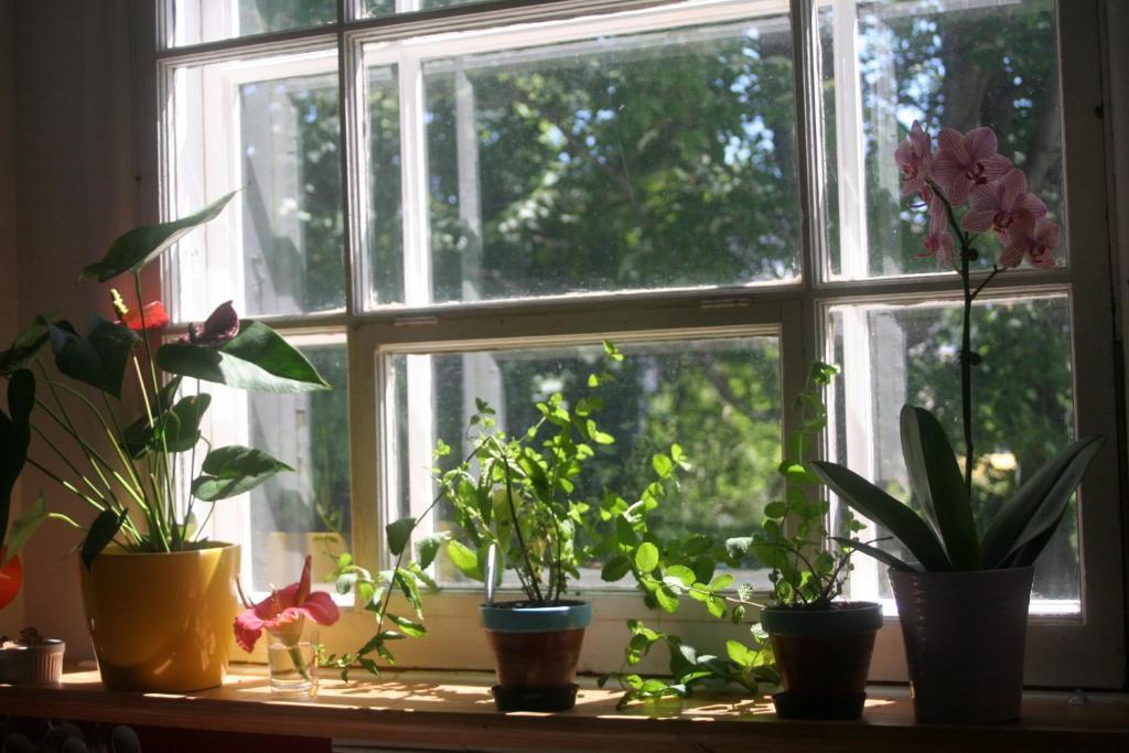 Bed and Breakfast Almatoit Экстерьер фото